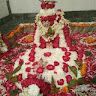 Rohit