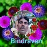 बिन्द्रावन