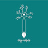 Synapse