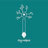 Synapse