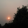 Garima
