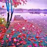 Nagesh