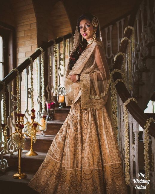 Lets create a bridal lehenga catalogue 9
