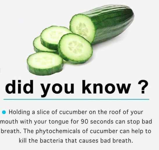 Cucumber to the rescue for bad breath issue - 1