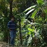 Shrikant