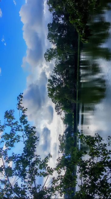 My boy and i were recalling our warm Sunday mornings! 2