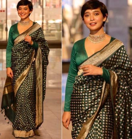 Silk Saree with velvet blouse and choker❣ 1