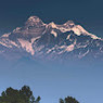 Ankit