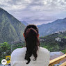 Shalu