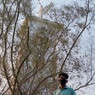 Cherlapally