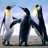 Sharath