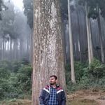 Sourav