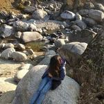 Annu