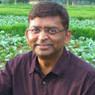 Alok