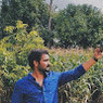 Pavan