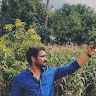Pavan