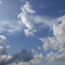 Manasi
