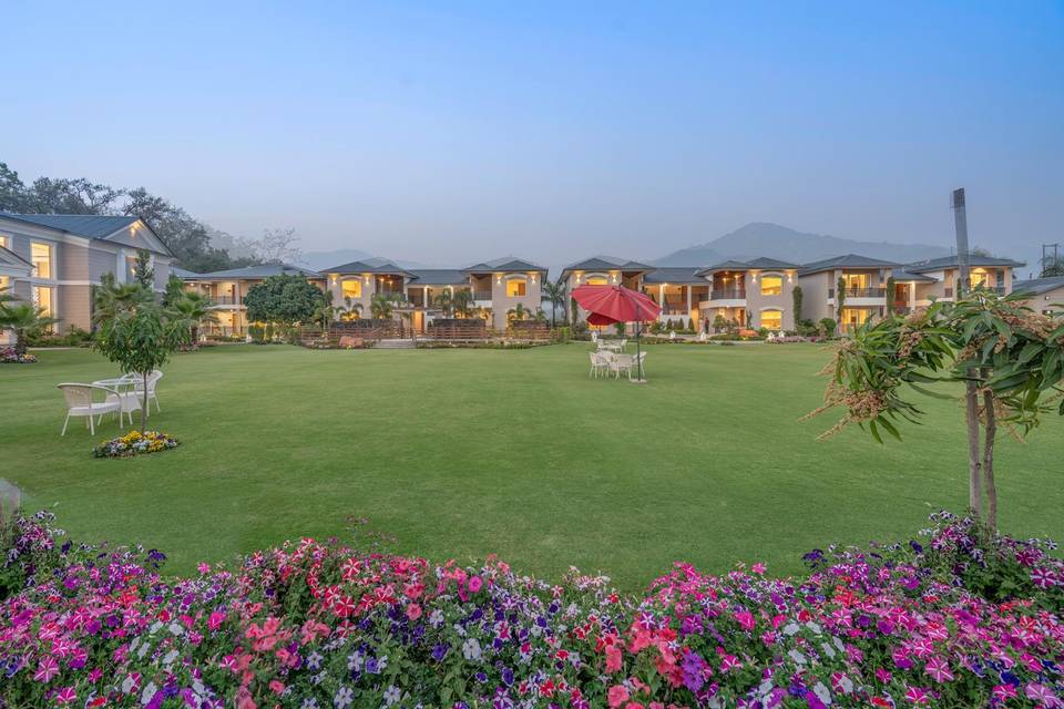 Lawn area