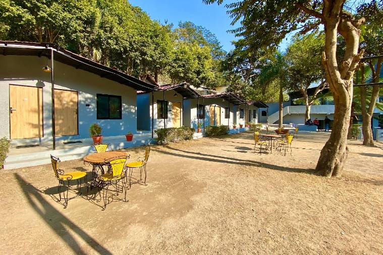 Lawn area