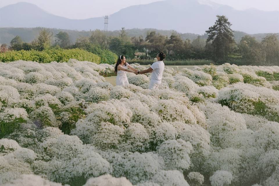 Clickvibe Production portfolio