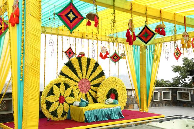 HALDI BACKDROP