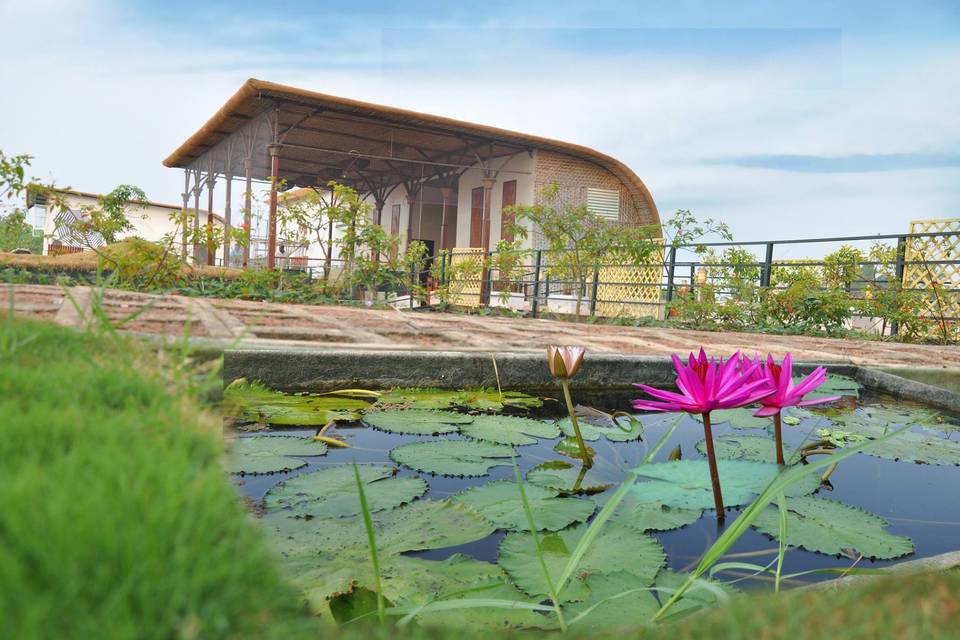 The Aquatic Island, Kochi