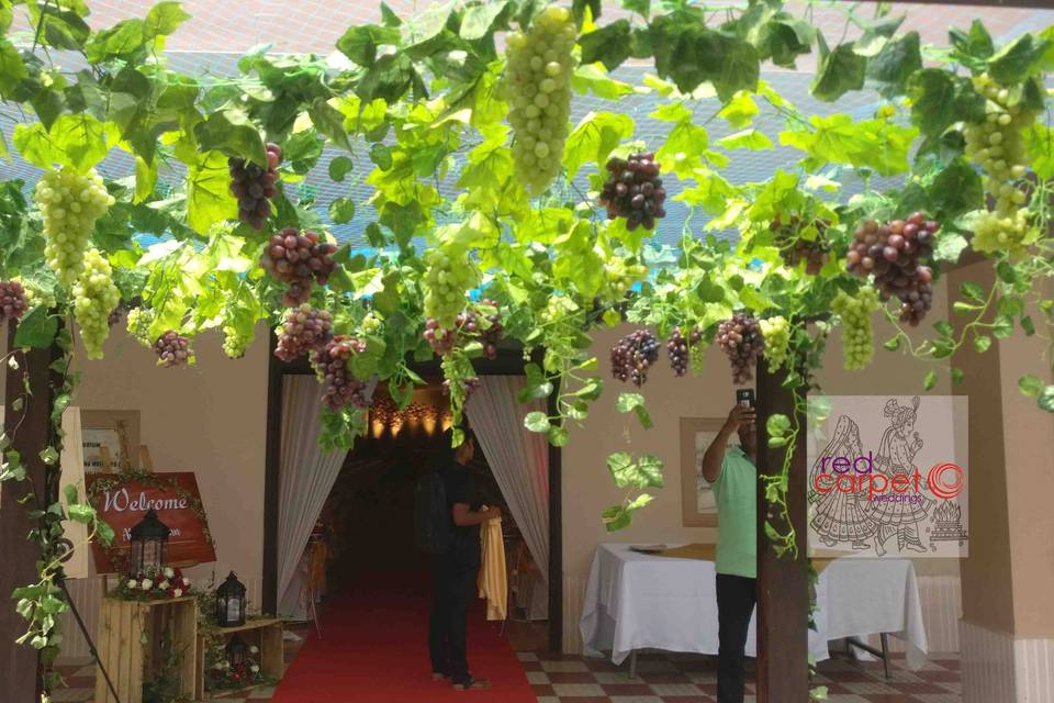 Live grape Vine Entrance arch