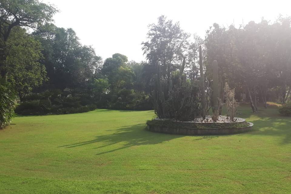 An original lush green lawn