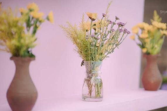 Tivoli Heritage Palace Rewari