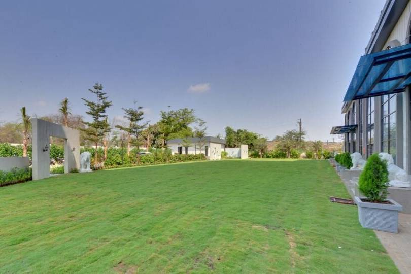 Lawn area