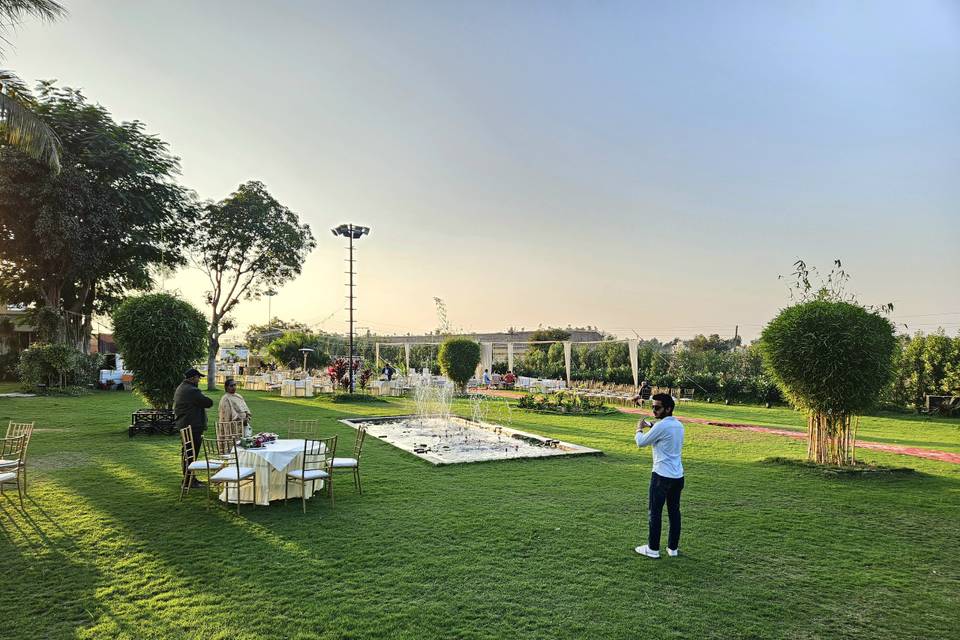 Lotus Lawn