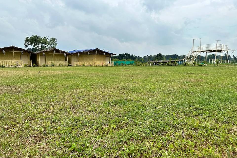 Lawn area