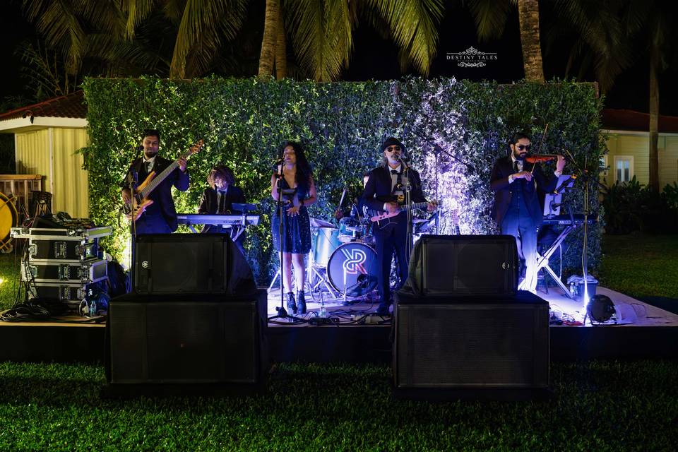 Elysian Rose Shangri-La
