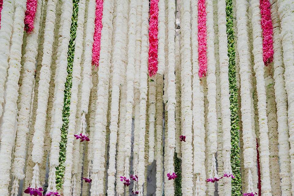 The Hanging Garden