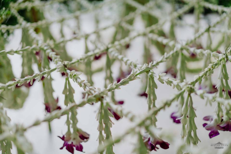 The Hanging Garden