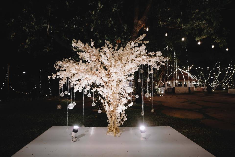 Sangeet Decoration