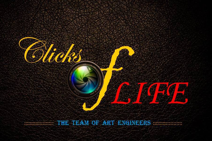 Clicks of Life