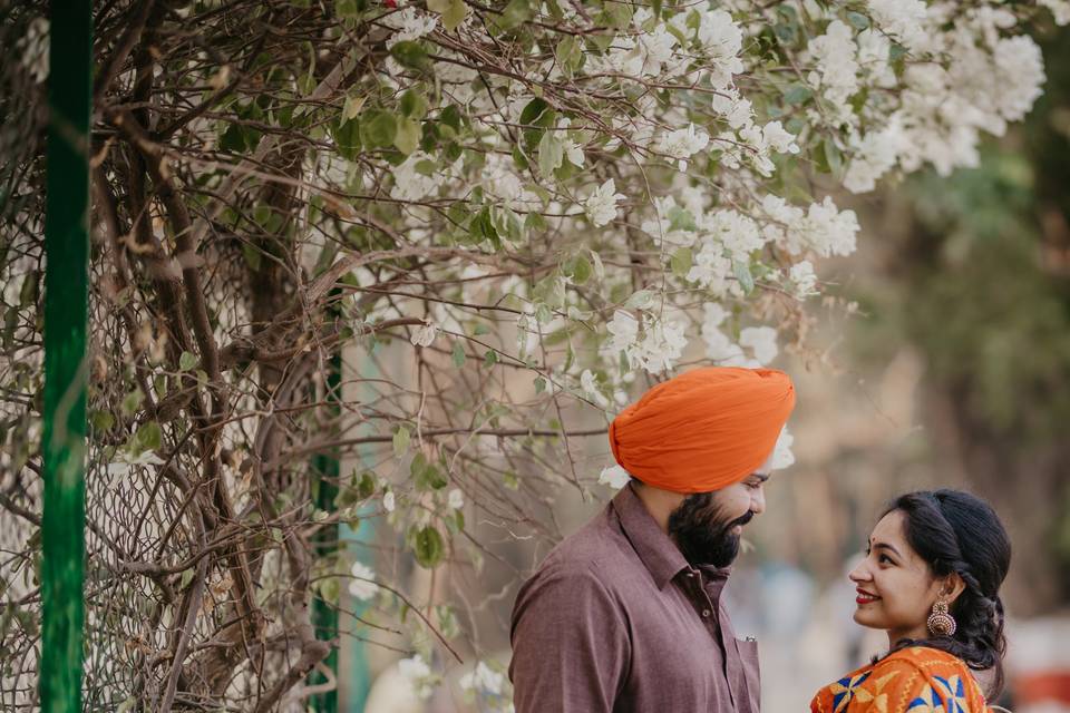 Amardeep & Pooja Pre Wedding