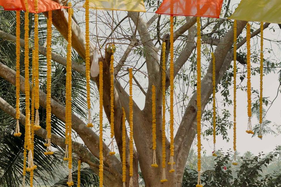 Haldi Set-up