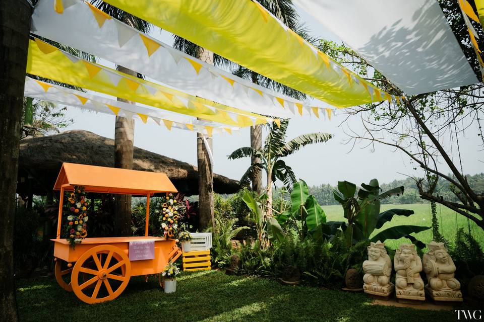 Haldi