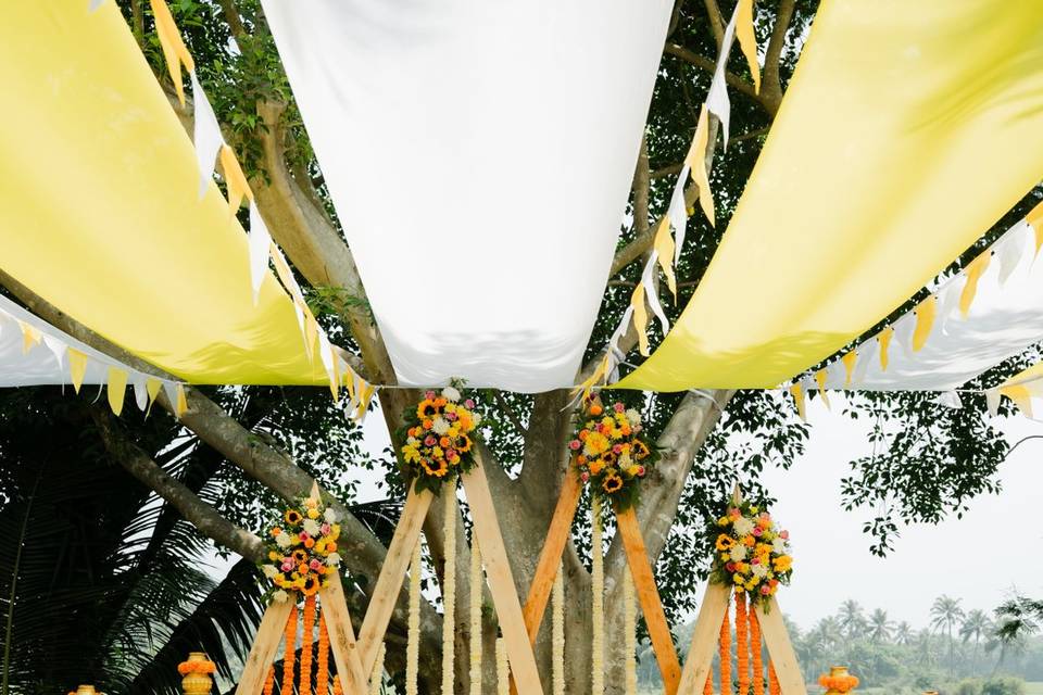 Haldi