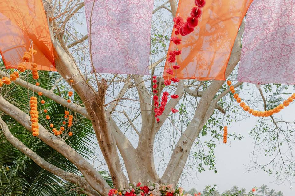 Haldi Setup