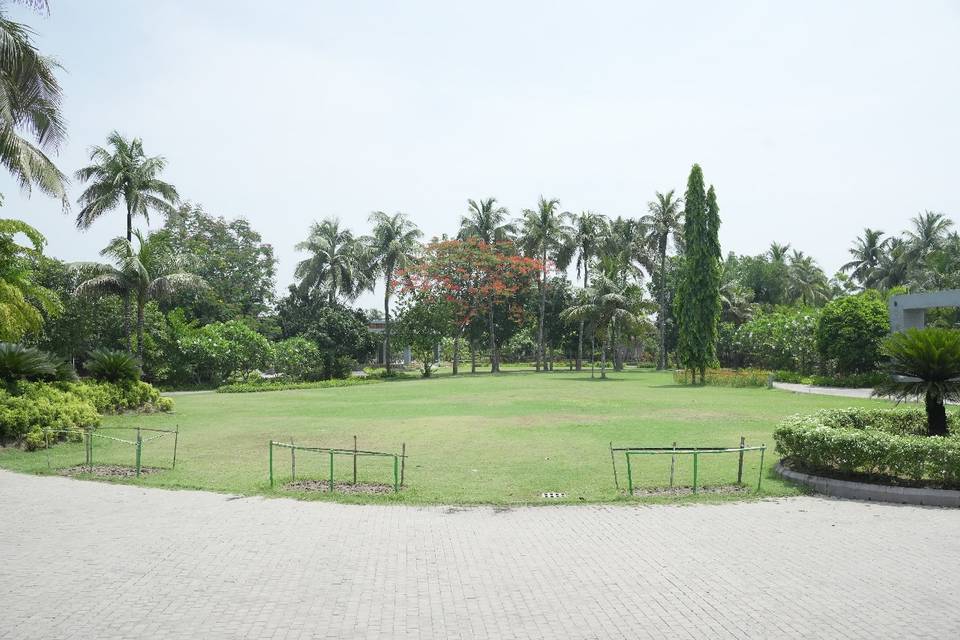 Lawn area
