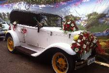 Wedding transport