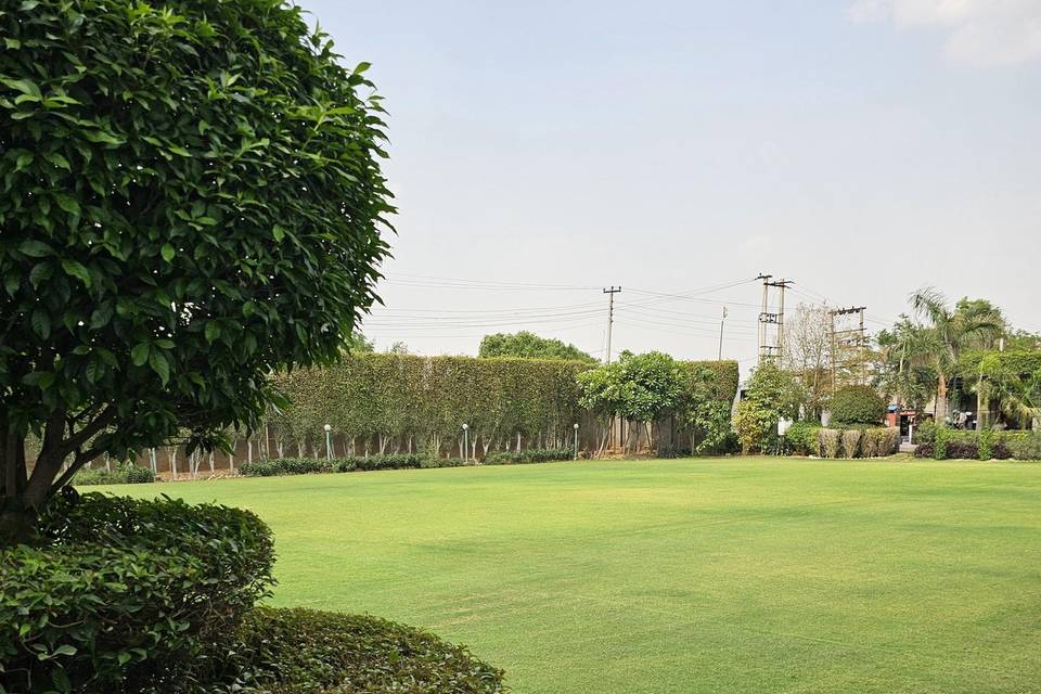 Lawn area