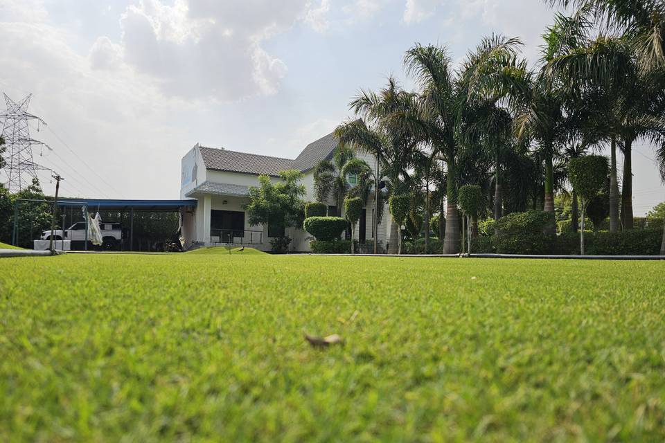 Lawn area