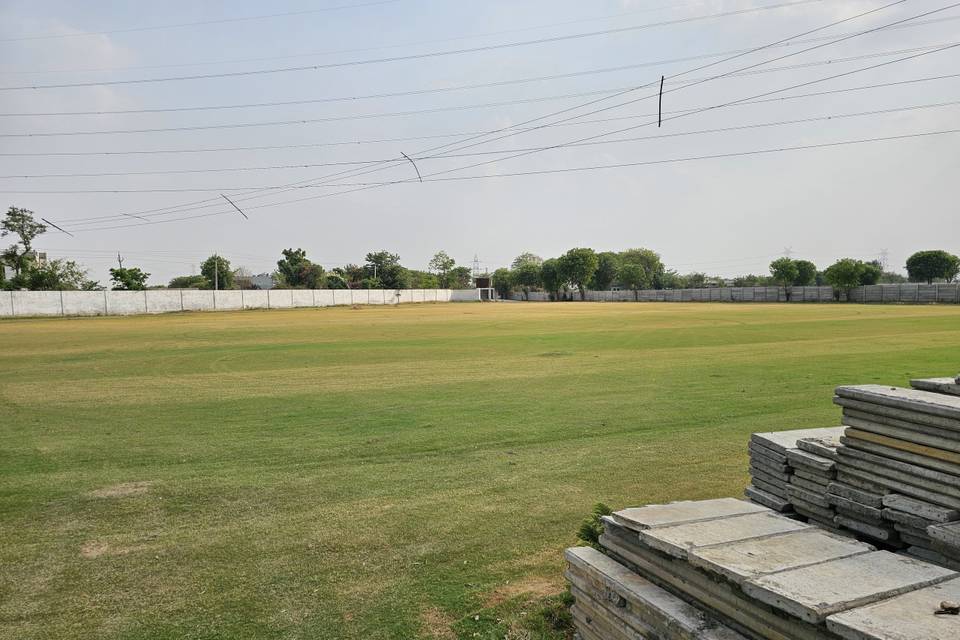 Lawn area