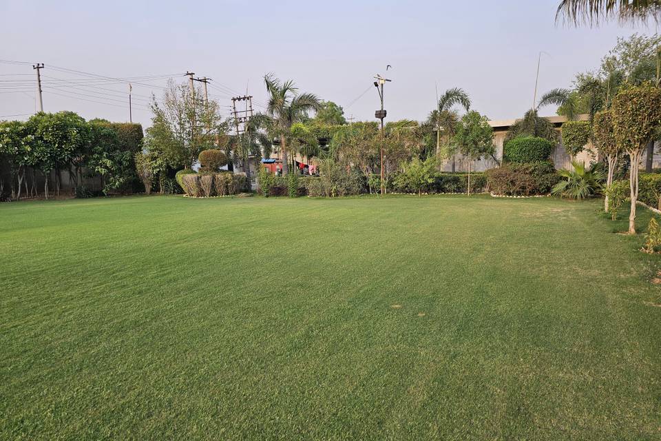 Lawn area