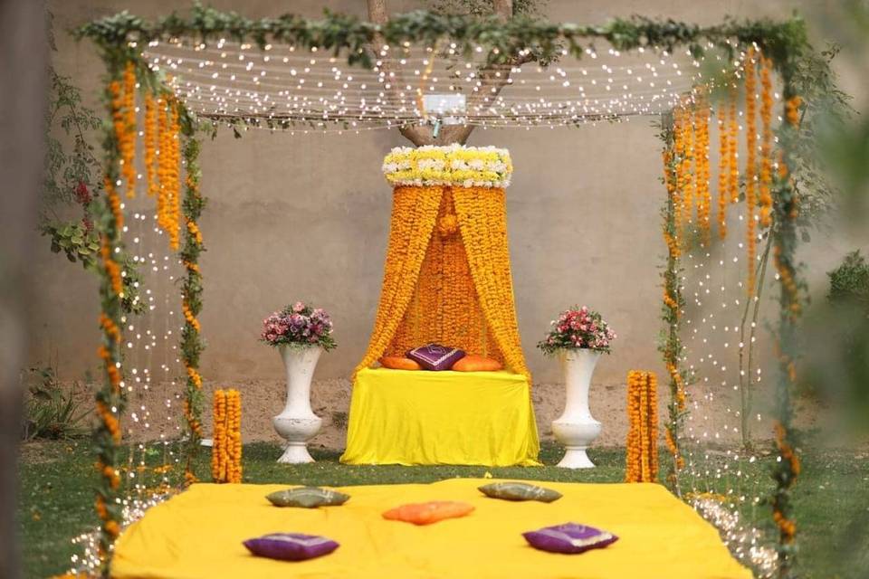 Haldi setup