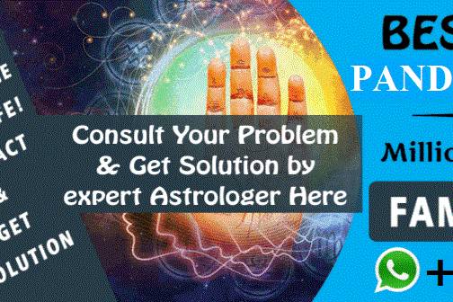 Astrologer Services